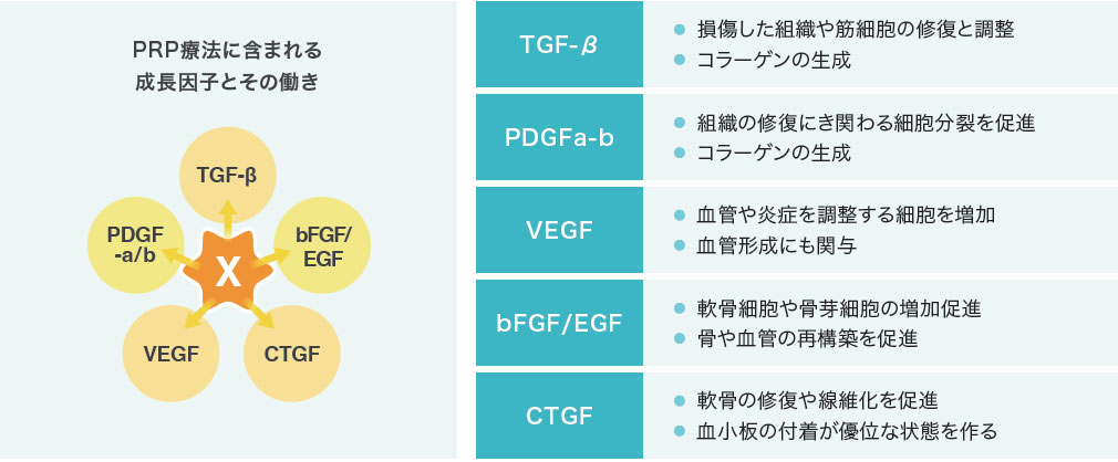 HD-PRP療法のメカニズム